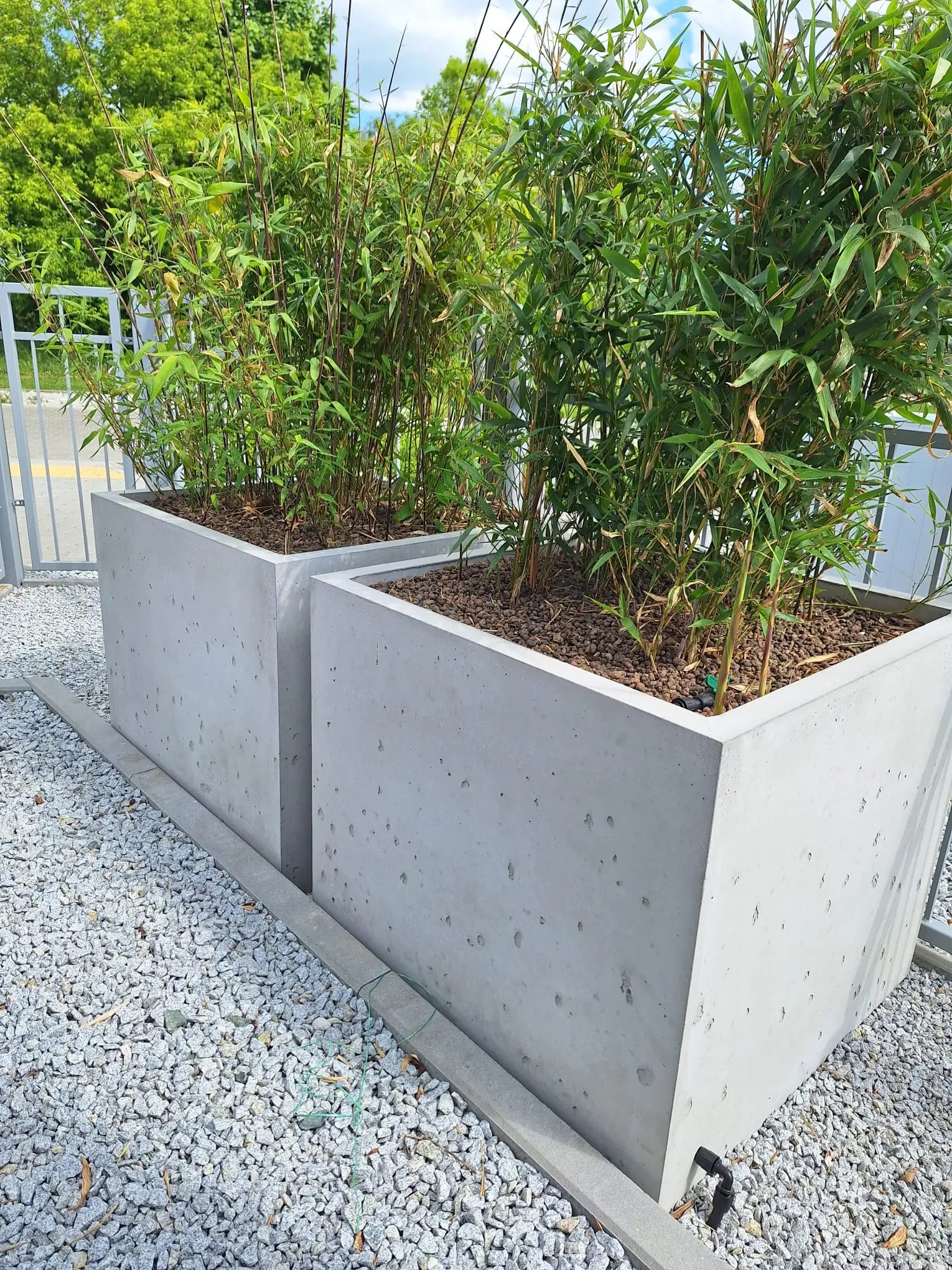 Outdoor Concrete Planters - Rectangle 50x120x50 cm two planters with growing plants Decormania.eu